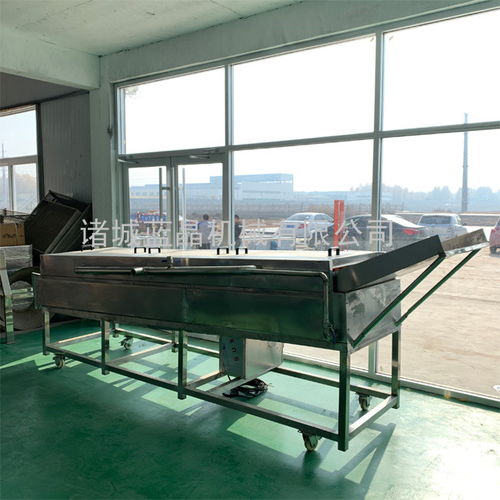 寧夏山藥清洗機(jī)價(jià)格與技術(shù)咨詢(xún)——諸城藍(lán)晶多圖詳解