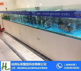 杭州飯店魚缸 弘英科技專業(yè)制作與技術(shù)咨詢指南